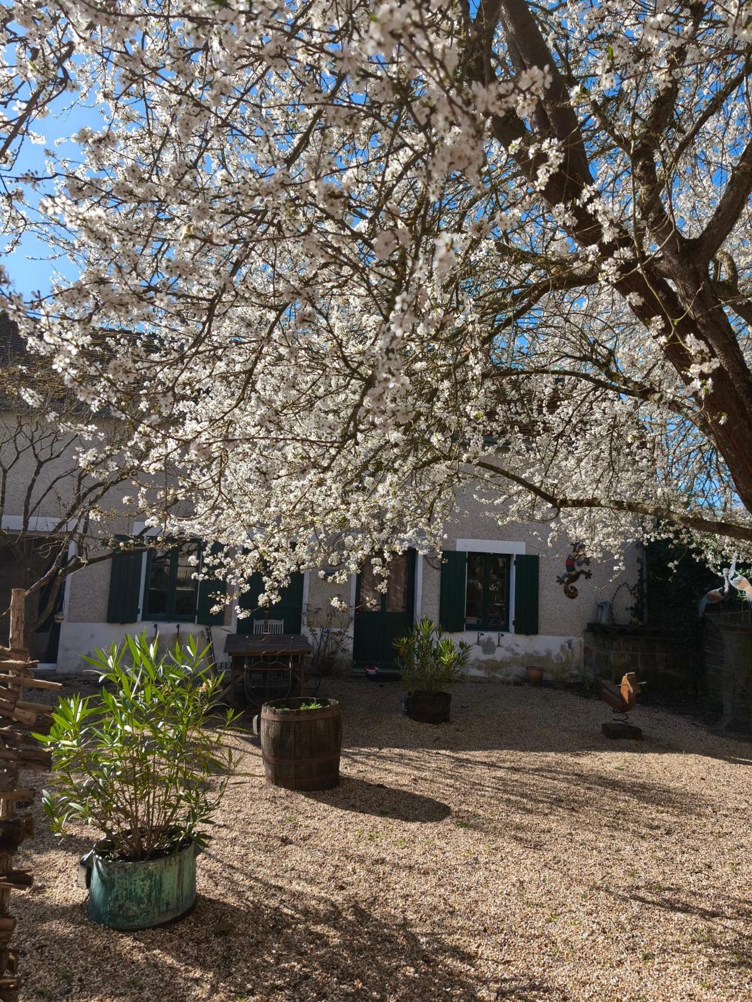 Le Cottage Des Sablons Pres Du Zoo De Beauval Saint-Romain-sur-Cher Dış mekan fotoğraf